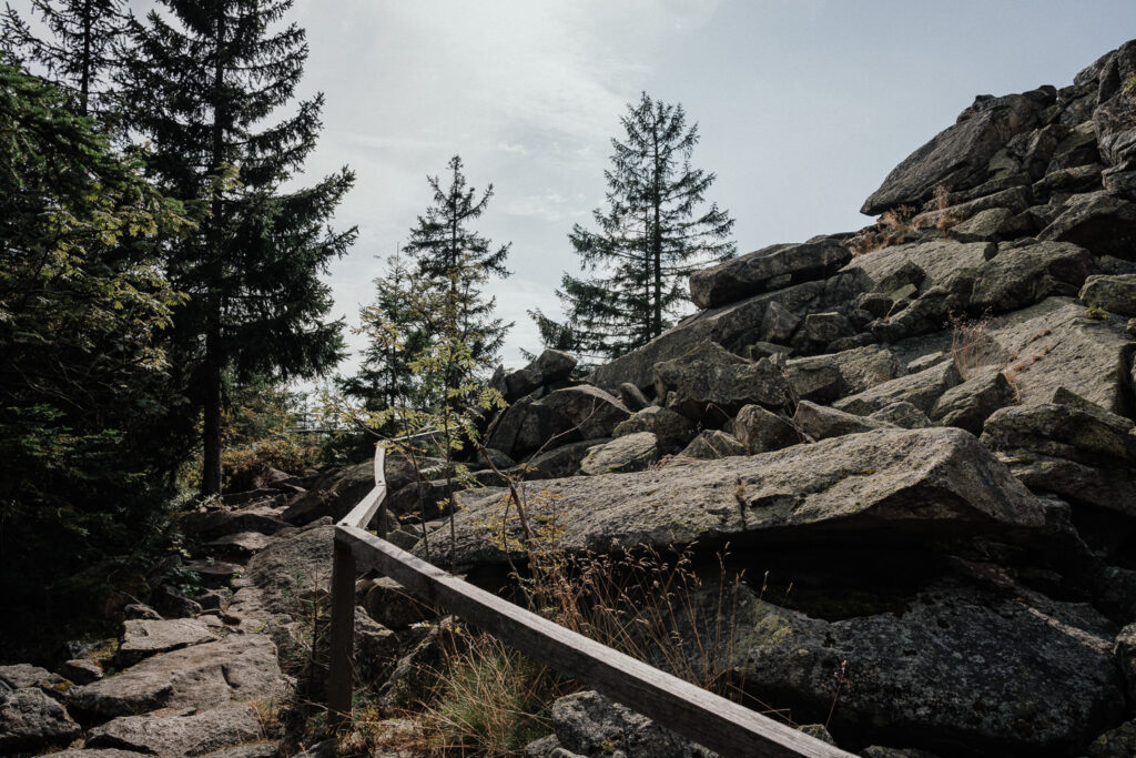 Gipfelbereich des Haberstein im Fichtelgebirge
