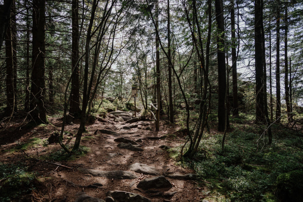 Wanderung zum Haberstein am Schneeberg im Fichtelgebirge